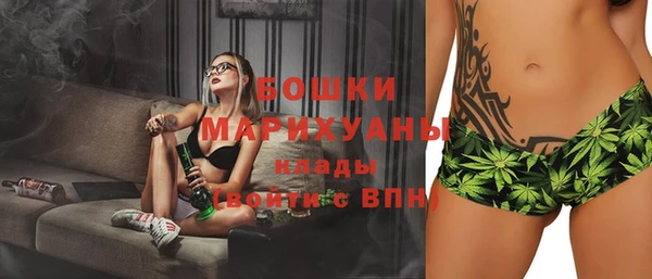 амф Новозыбков