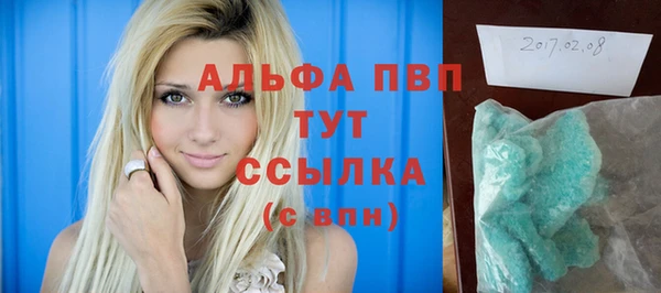 амф Новозыбков