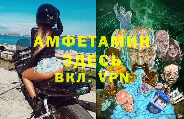 амф Новозыбков