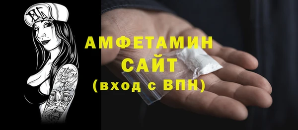 амф Новозыбков