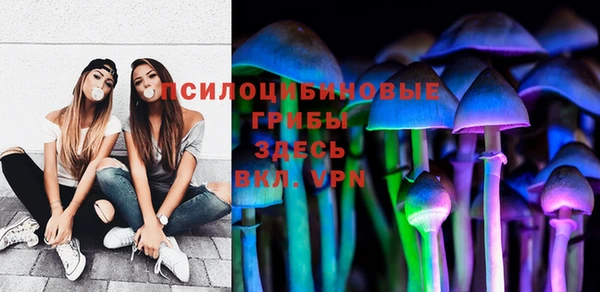 индика Балахна