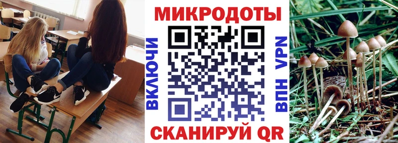 Галлюциногенные грибы Cubensis  где найти   Нижняя Салда 
