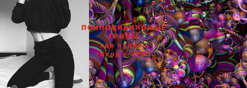 Галлюциногенные грибы MAGIC MUSHROOMS  Нижняя Салда 